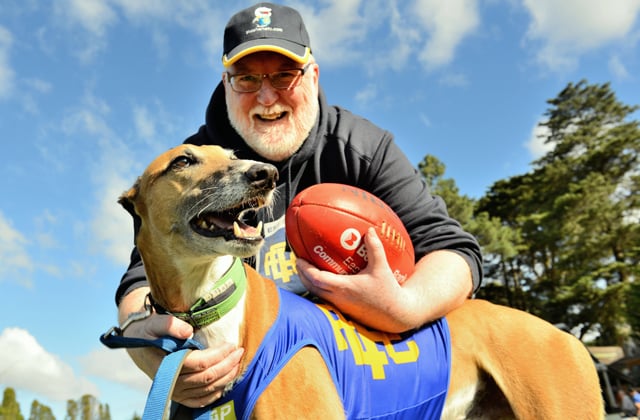 Love of Footy and Greyhounds Spurring Sigalas through Cancer Battle