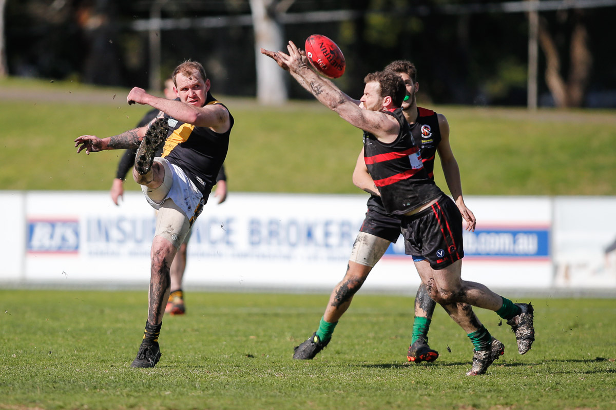 South Mornington join Box Hill North in Division 4