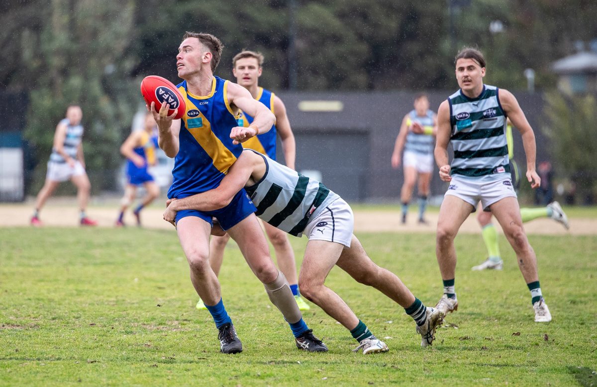 Tigers and Sharks shaking things up in Premier B