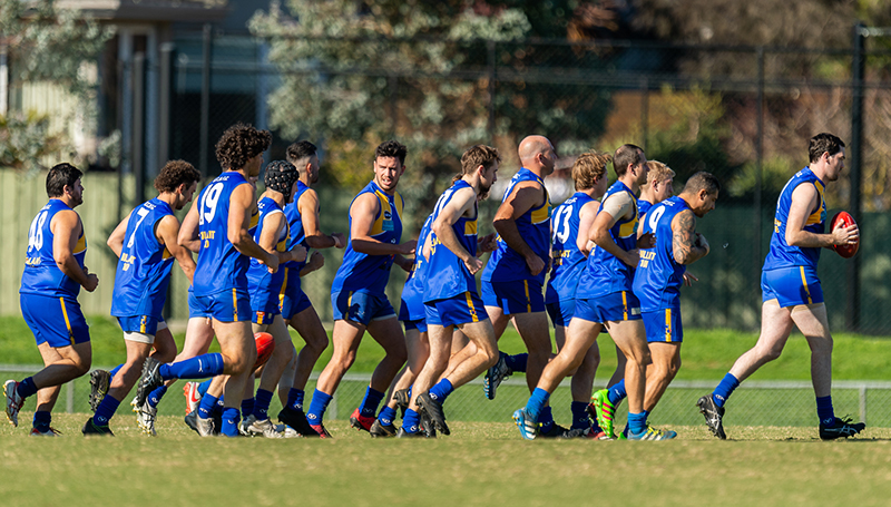 Back-to-back heartstoppers for Bloods as Bullants get back on the park