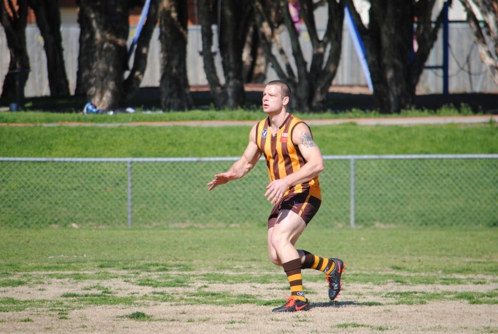 Division 3 Rd 11 – Harding stars with 13 in Animals win