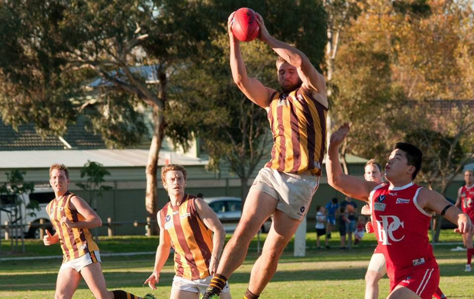 Hawks fly into Division 3 decider