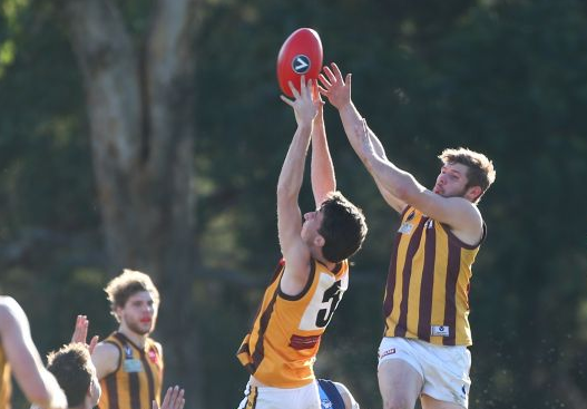 Hawks, Westies fly into Division 3 preliminary final