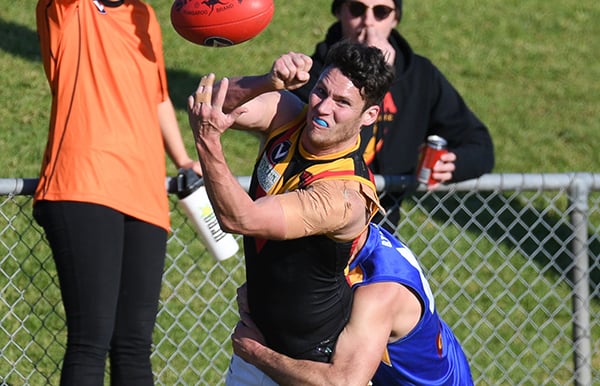 2019 Division 2 fixture released