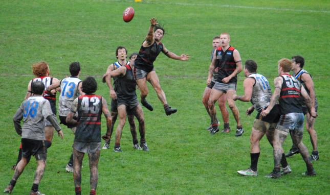 OLD XAVS DEFEAT OLD CAREY IN DAY FOR MUDLARKS