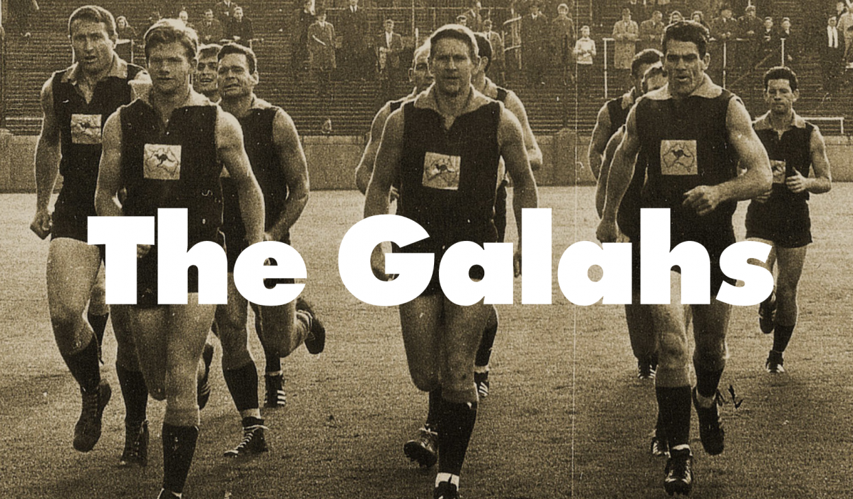Don’t miss your chance to witness ‘The Galahs’