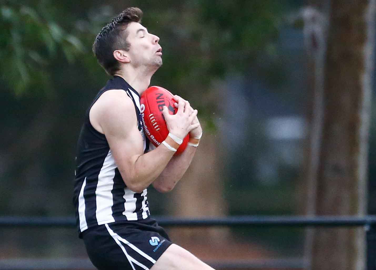 Magpies remain undefeated as Animals win by the skin of their teeth