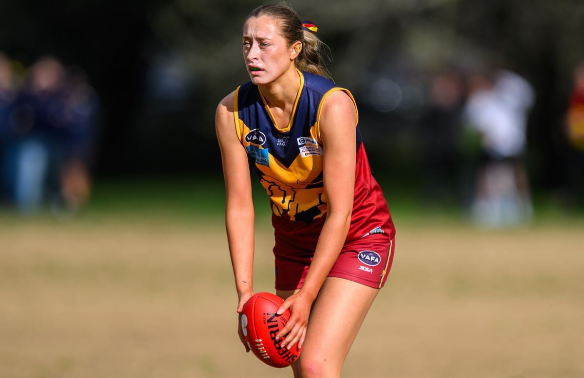 2024 Division 3 Women's Team of the Year VAFA