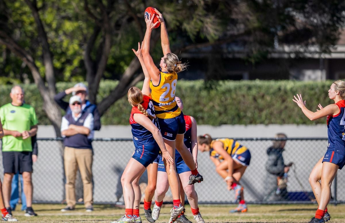 Omlettes topple the Tonners