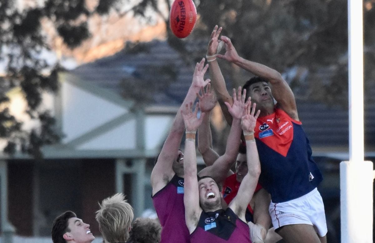 VAFA William Buck Premier Men’s Round 11 Preview