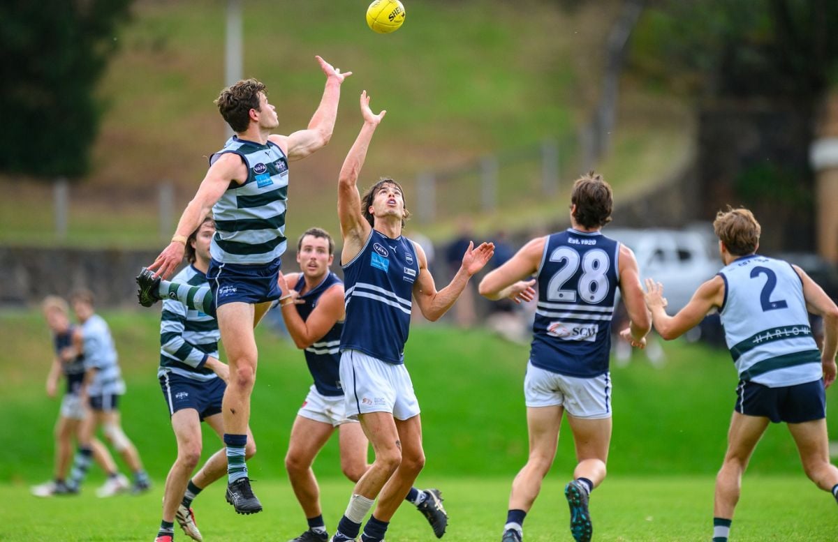 New ladder leader, Fields take fourth